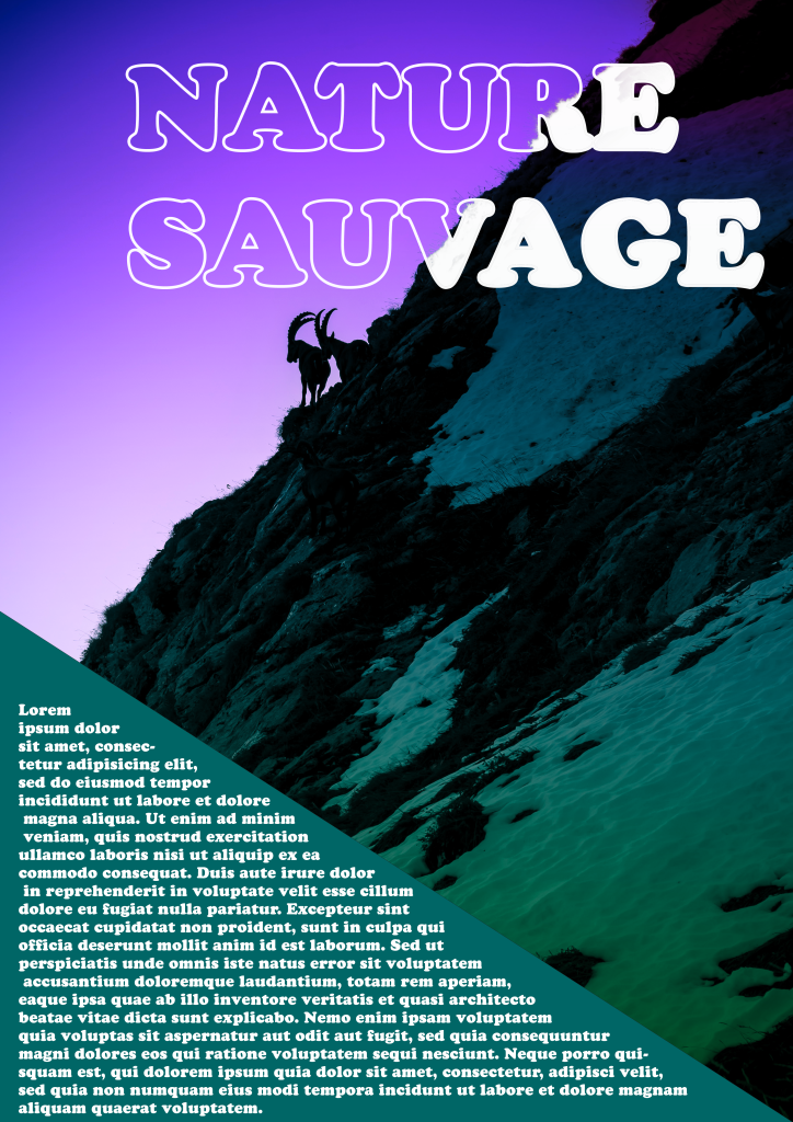 Affiche et flyer